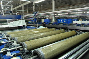 金辰印花厂与江苏金辰针纺织 引领针纺织品创新与发展的行业先锋